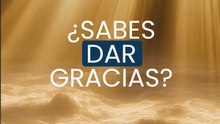 ¿Sabes dar gracias?