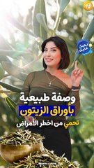 Bienfait de Feuille d'Olivier - كيفاش تستفاد من اوراق الزيتون و تحمي صحتك و بشرتك ؟ 🍃