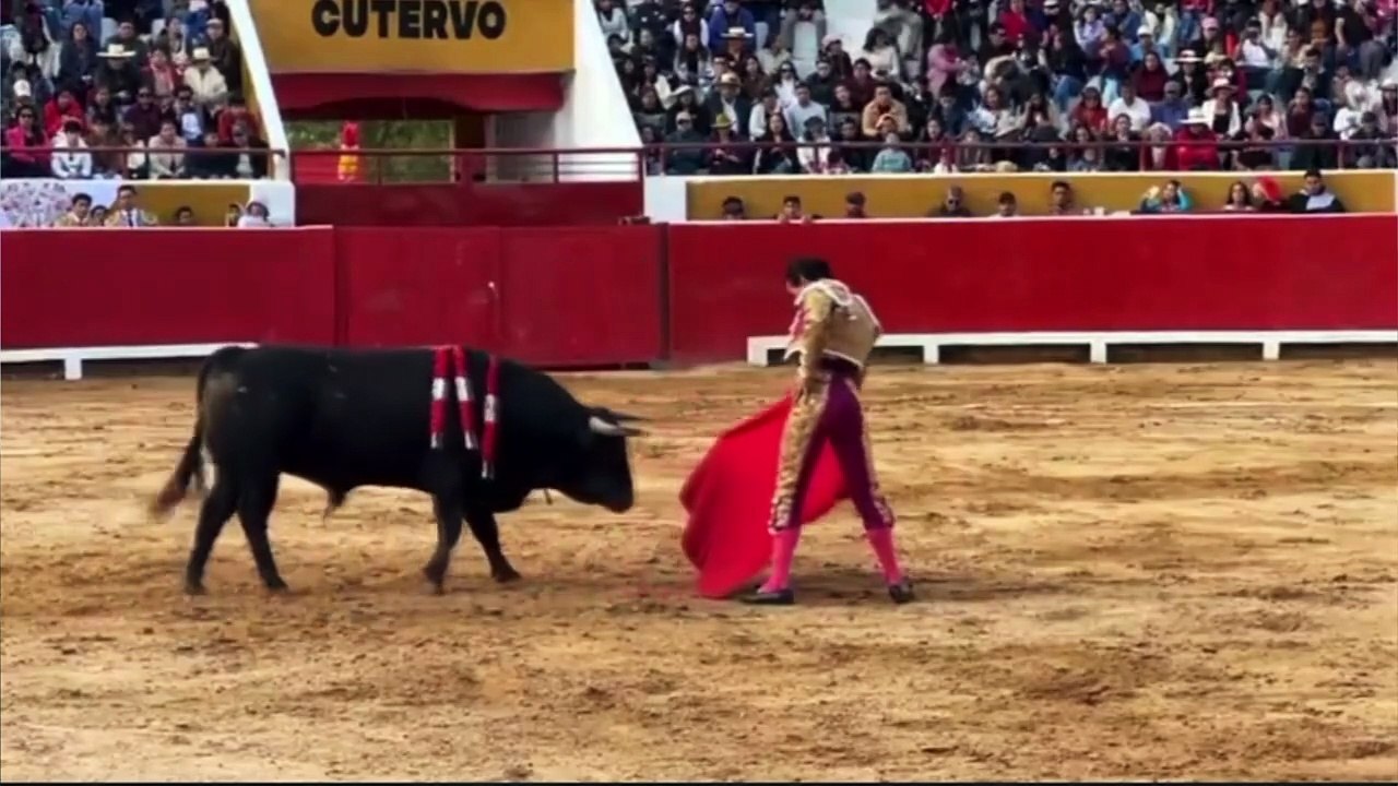 galdos reportaje