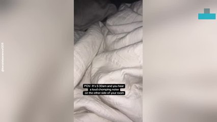 Mum Wakes Up to Find Toddler Having a Snack Session