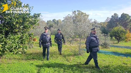 Contributi ai braccianti per oltre 2 milioni mai versati: blitz in aziende agricole del Materano (27.11.25)
