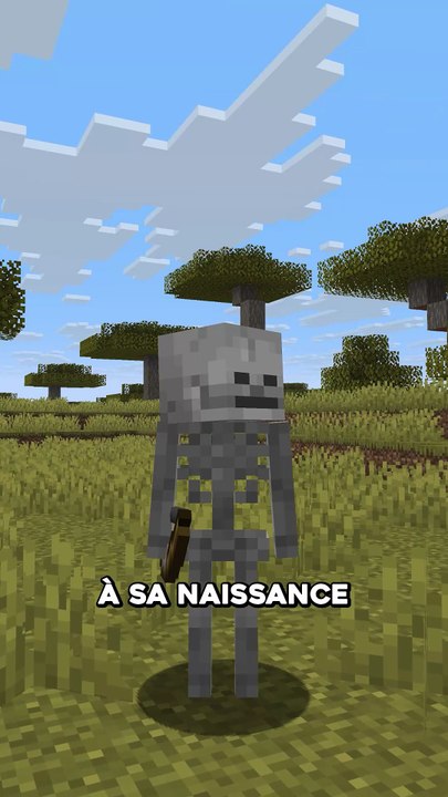 La vie d'un squelette dans Minecraft