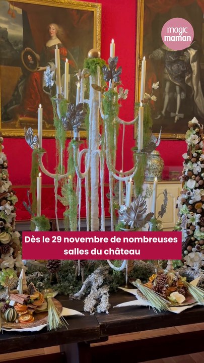 Magie, animations et décors grandioses : le château de Chambord dévoile son programme de Noël