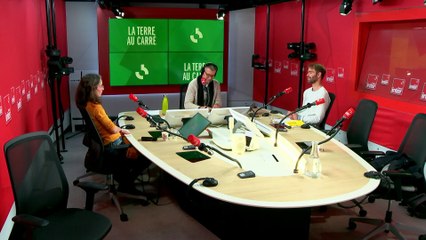 Vers la déconsommation ? La terre au carré