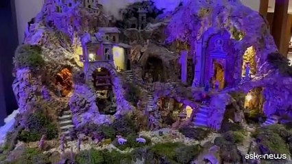 Sostenibilità a 4 zampe con "Pet Carpet: Un riciclo da Oscar"