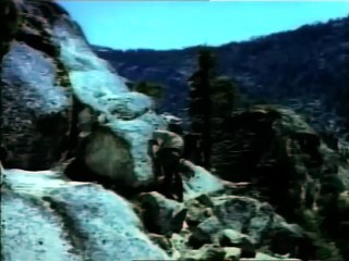 LASSIE - LAS COLINAS PINTADAS  Película Completa de PERROS en Español