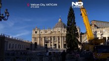 Vaticano recebe abeto da Noruega de 27 metros na Praça de São Pedro