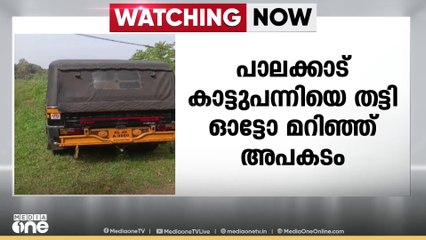 വണ്ടാഴിയിൽ കാട്ടുപന്നിയെ തട്ടി ഓട്ടോ മറിഞ്ഞുണ്ടായ അപകടത്തിൽ ഡ്രൈവർക്ക് ഗുരുതര പരിക്ക്