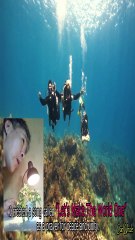 🌍 Quick Peace Message