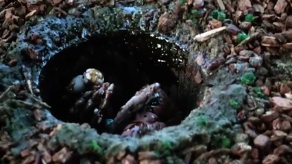 EL SER  Película Completa de TERROR y CIENCIA FICCIÓN en Español