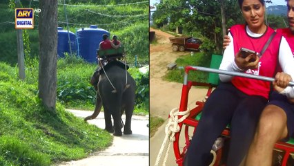 The Ultimate Muqabla S4 | Episode 20 | Shoaib Malik | ARY Digital