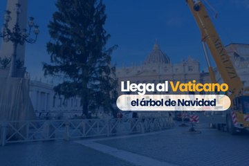 Árbol de navidad en el Vaticano