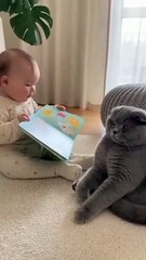 Baby reading a story to a cat  #ai #cute #kitten #cat #viralreels #love #baby