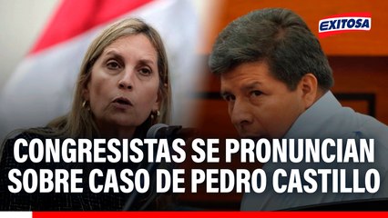 Congresistas se pronuncian sobre caso de Pedro Castillo: "Está todo comprobado"