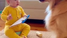 Baby Giving a Serious Performance #ai #cute #kitten #cat #viralreels #love #baby