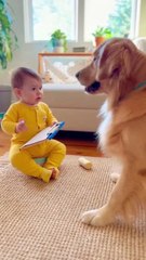 Baby Giving a Serious Performance #ai #cute #kitten #cat #viralreels #love #baby