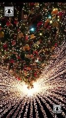 FYI My Love Ship's Sailed Without You Full Movie