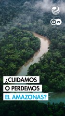 Debate global: ¿podremos proteger al Amazonas?