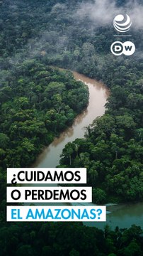 Debate global: ¿podremos proteger al Amazonas?