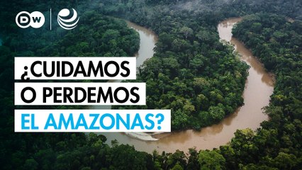 Debate global: ¿podremos proteger al Amazonas?