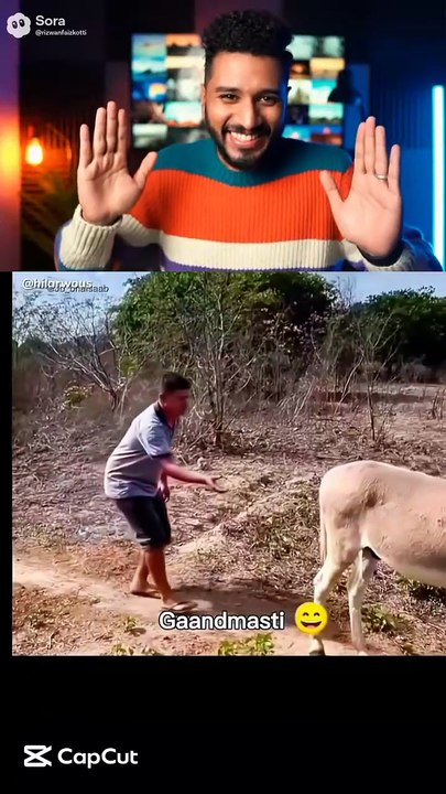 Man making fun with donkey