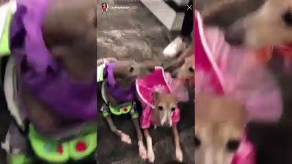 Kylie Jenner Reunites With Travis Scott & Stormi Amid Break Up