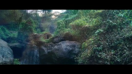 Bhediya 2 - First Look Trailer ｜ Varun Dhawan ｜ Kriti Sanon ｜ Munjya 2 & Stree 3 ｜ Amar Kaushik 2025