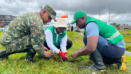 500.000 árboles en 60 segundos: Modelo colombiano de reforestación se expande a otros países
