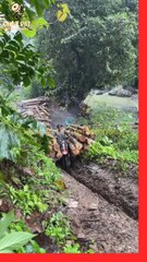 Kya Driving Kare Hai Bande Ne