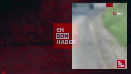 Muğla'da araçla metrelerce sürüklenen köpek telef oldu