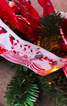 Ελένη Φουρέιρα: Μας έβαλε στο υπέροχο σαλόνι της για να μας δείξει το χριστουγεννιάτικο δέντρο