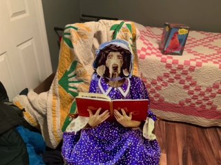 Sesame Street - William Wegman's Mother Goose (1997) Trailer (Remade Remake Version)