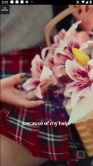 Never Reject A Wolf Princess