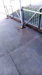 Why I don't go outside anymore