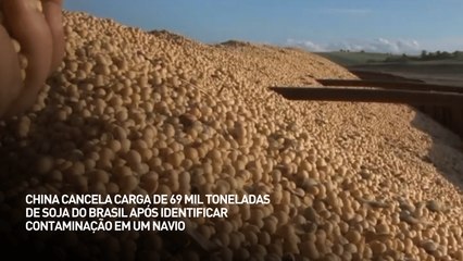 China cancela carga de 69 mil toneladas de soja do Brasil após identificar contaminação em um navio