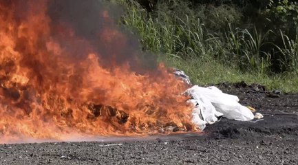 Incineración de 1.450 kilos de cocaína en República Dominicana gracias a la operación Lanza del Sur