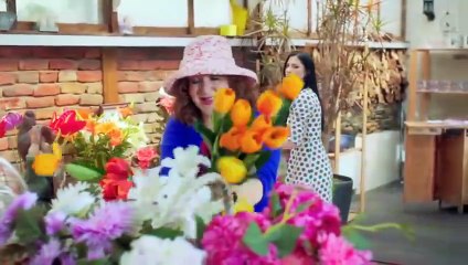 Ella terminó en la cama del hombre equivocado | Cap. 1 | Romance Turco | Doblado al Español