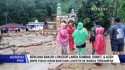 Deret Fakta Banjir dan Longsor di Pulau Sumatera, WALHI Soroti Kerusakan Ribuan Hektare Hutan