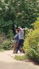 System On - Starvation Not on My Watch #Dramabox