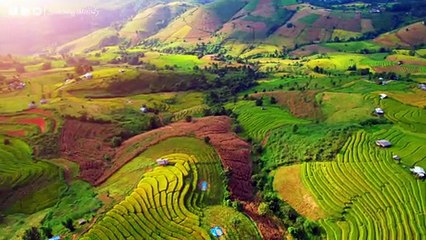 Музыка успокаивает, успокаивает нервную систему и радует душу - целебная музыка #3