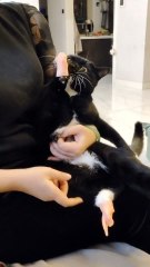 #funny video #shortvideo #viralvideo #funnyadda#