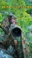 🌄 Breathtaking Nature Views + Relaxing Piano Melodies