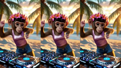 😻 Dancing Kittens in Sync! ✨ Funny Cats Video 💃🐱💫 burung kakak tua kucing joget lucu