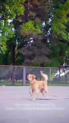 The Cure for a Broken Heart #shortfilm