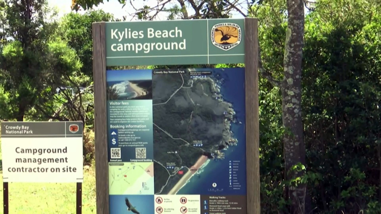 Man and woman attacked by shark in NSW confirmed as Swiss tourists