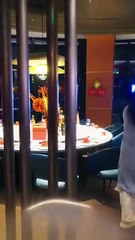 My Heart Has Always Known Dramabox