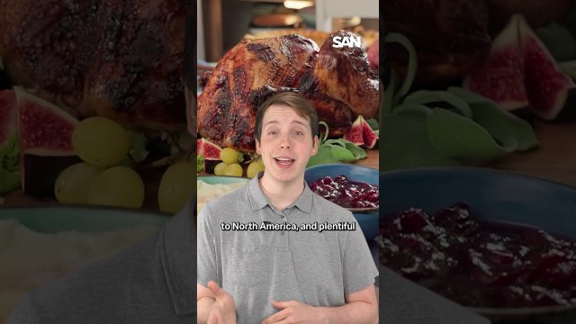 From pilgrims to parades: the real story behind Thanksgiving