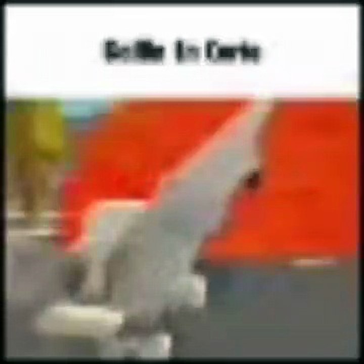 Chicken Gun Momento 2