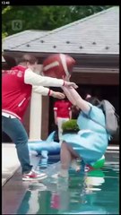 The Queen Bee Strikes Back ReelShort