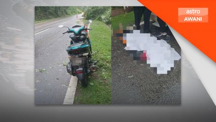 Lelaki maut langgar pokok tumbang